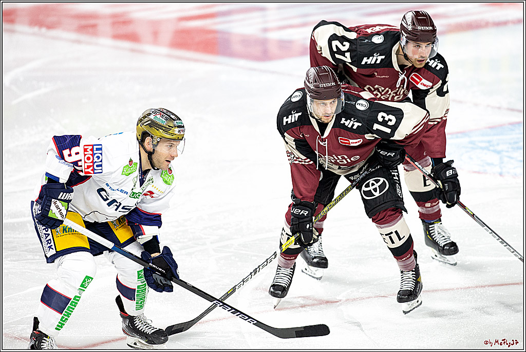 PENNY DEL;  Koelner Haie - Eisbaeren Berlin; Koeln, 19.02.2021